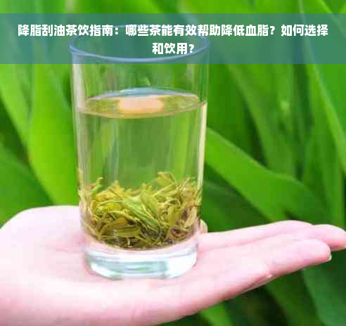 降脂刮油茶饮指南：哪些茶能有效帮助降低血脂？如何选择和饮用？