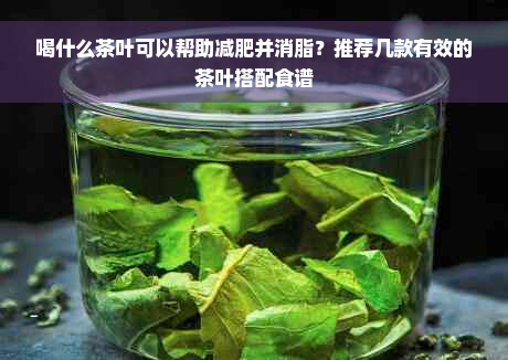 喝什么茶叶可以帮助减肥并消脂？推荐几款有效的茶叶搭配食谱