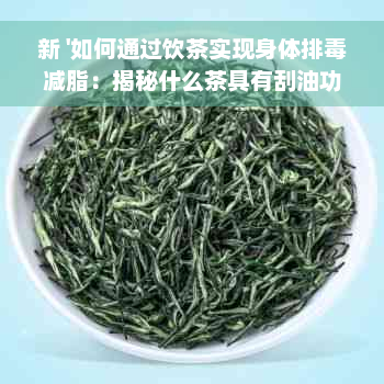 新 '如何通过饮茶实现身体排毒减脂：揭秘什么茶具有刮油功效'