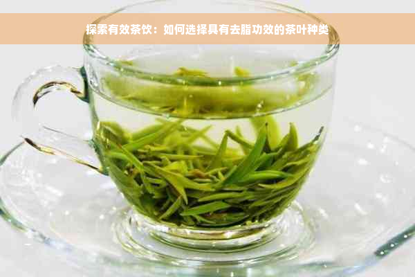 探索有效茶饮：如何选择具有去脂功效的茶叶种类