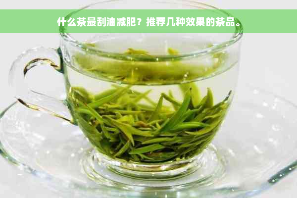 什么茶最刮油减肥？推荐几种效果的茶品。