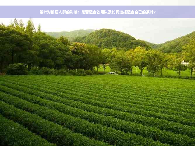 茶叶对偏瘦人群的影响：是否适合饮用以及如何选择适合自己的茶叶？