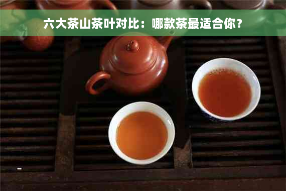 六大茶山茶叶对比：哪款茶最适合你？