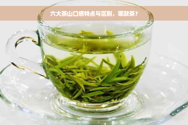 六大茶山口感特点与区别，哪款茶？