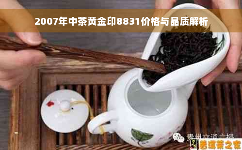 2007年中茶黄金印8831价格与品质解析