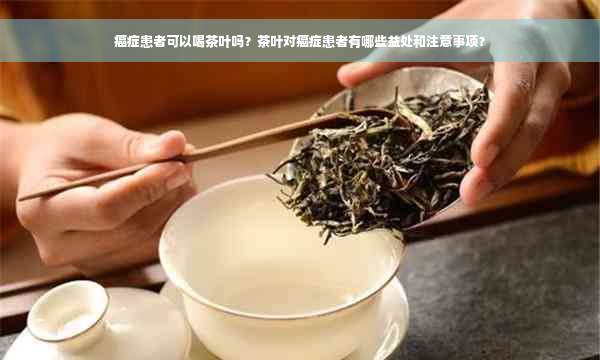 癌症患者可以喝茶叶吗？茶叶对癌症患者有哪些益处和注意事项？