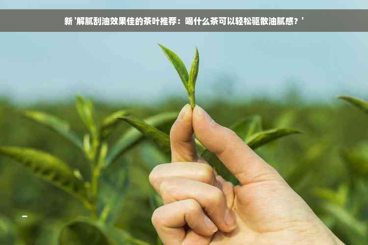 新 '解腻刮油效果佳的茶叶推荐：喝什么茶可以轻松驱散油腻感？'