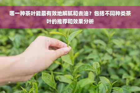 哪一种茶叶能最有效地解腻和去油？包括不同种类茶叶的推荐和效果分析