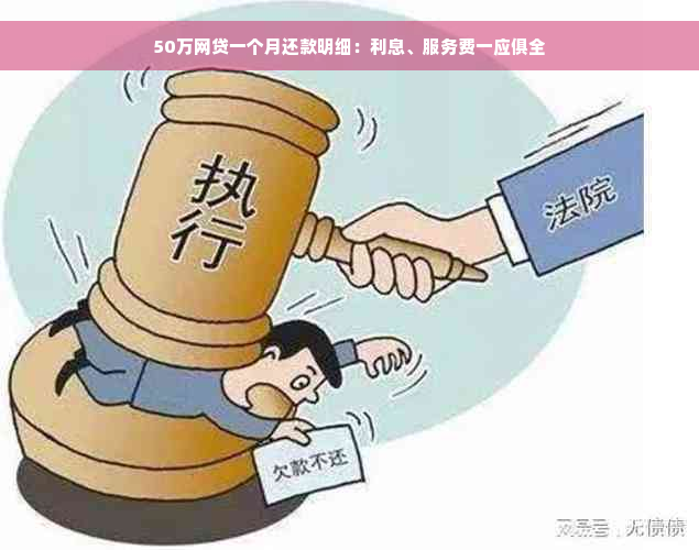 50万网贷一个月还款明细：利息、服务费一应俱全