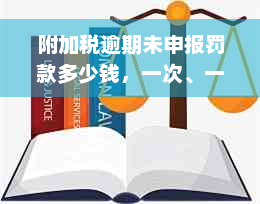 附加税逾期未申报罚款多少钱，一次、一个月处理方法及网上补申报流程