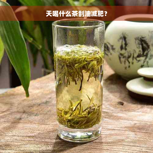 天喝什么茶刮油减肥？