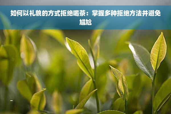 如何以礼貌的方式拒绝喝茶：掌握多种拒绝方法并避免尴尬