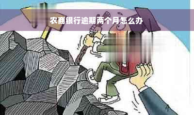 农商银行逾期两个月怎么办