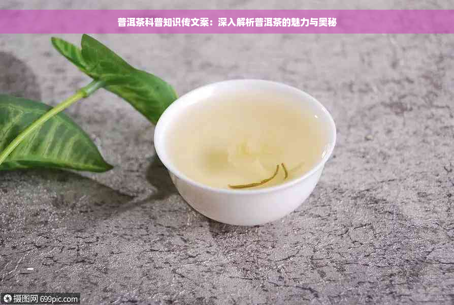 普洱茶科普知识传文案：深入解析普洱茶的魅力与奥秘