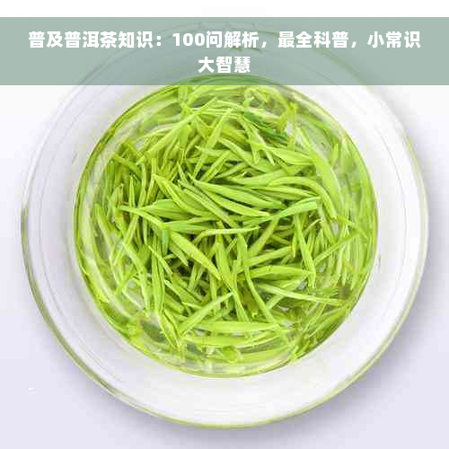 普及普洱茶知识：100问解析，最全科普，小常识大智慧