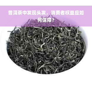 普洱茶中发现头发，消费者权益应如何保障？