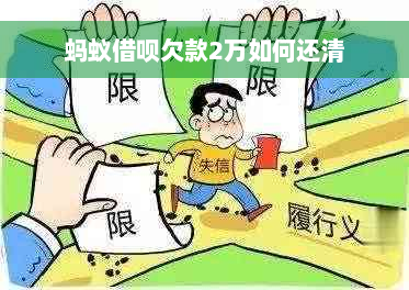 蚂蚁借呗欠款2万如何还清