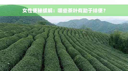 女性便秘缓解：哪些茶叶有助于排便？