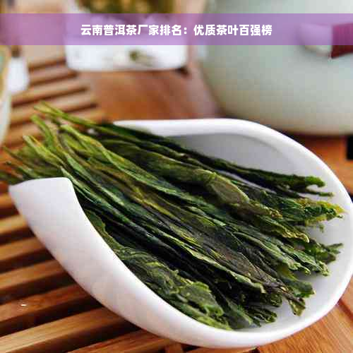 云南普洱茶厂家排名：优质茶叶百强榜