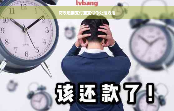 花呗逾期支付宝支付令处理方法