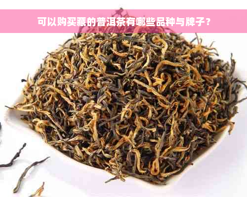 可以购买藏的普洱茶有哪些品种与牌子？