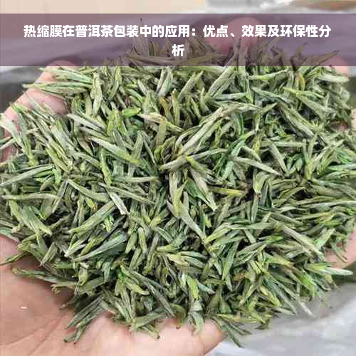 热缩膜在普洱茶包装中的应用：优点、效果及环保性分析