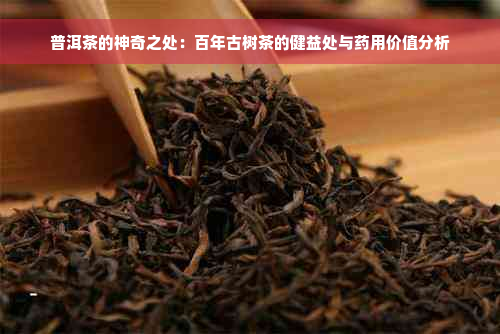 普洱茶的神奇之处：百年古树茶的健益处与药用价值分析