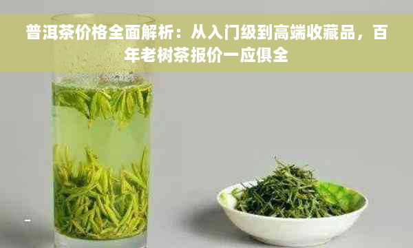 普洱茶价格全面解析：从入门级到高端收藏品，百年老树茶报价一应俱全