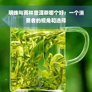 明珠与雨林普洱茶哪个好：一个消费者的视角和选择