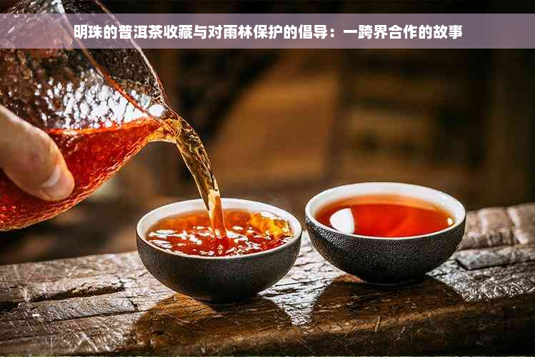 明珠的普洱茶收藏与对雨林保护的倡导：一跨界合作的故事