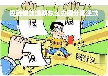 极融借款逾期怎么办理分期还款