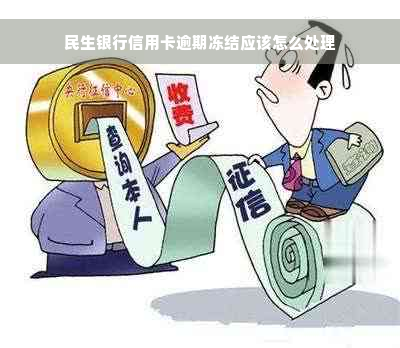 民生银行信用卡逾期冻结应该怎么处理