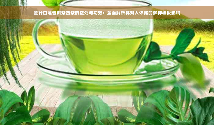 金针白莲普洱茶熟茶的益处与功效：全面解析其对人体健的多种积极影响