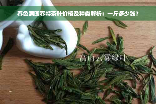 春色满园春特茶叶价格及种类解析：一斤多少钱？