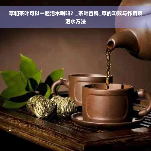 草和茶叶可以一起泡水喝吗？_茶叶百科_草的功效与作用及泡水方法