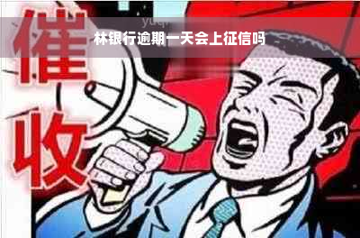 林银行逾期一天会上征信吗