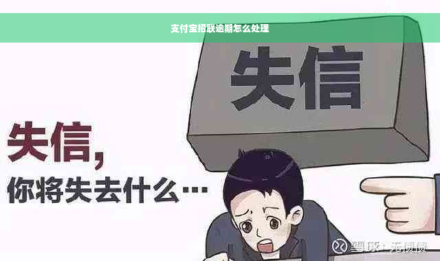 支付宝招联逾期怎么处理