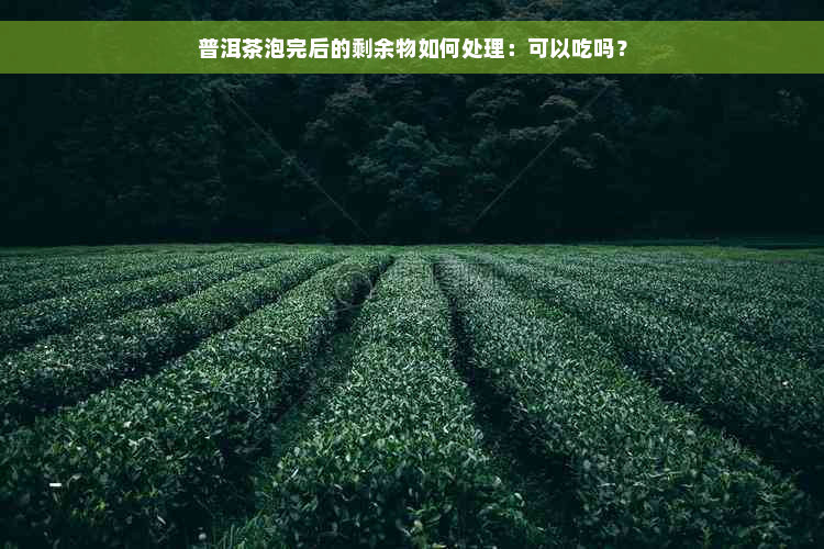 普洱茶泡完后的剩余物如何处理：可以吃吗？