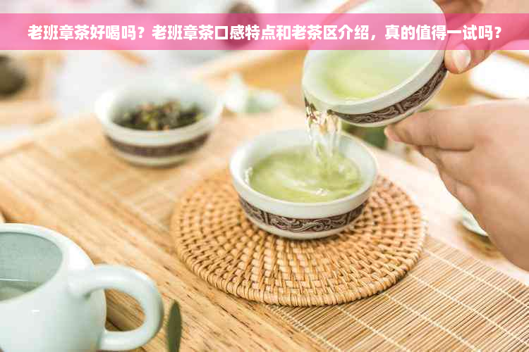 老班章茶好喝吗？老班章茶口感特点和老茶区介绍，真的值得一试吗？