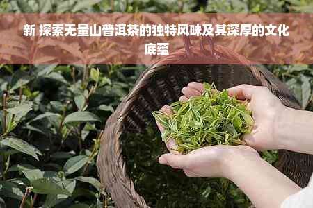 新 探索无量山普洱茶的独特风味及其深厚的文化底蕴