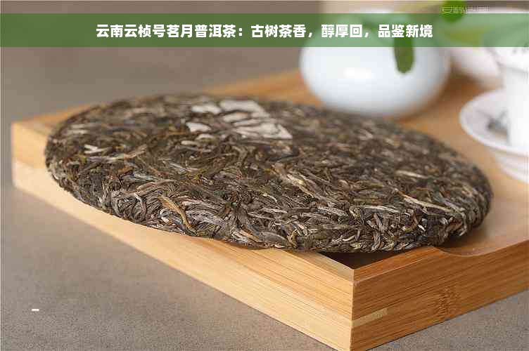 云南云桢号茗月普洱茶：古树茶香，醇厚回，品鉴新境