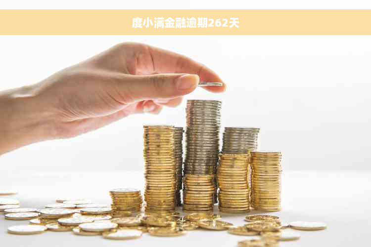 度小满金融逾期262天