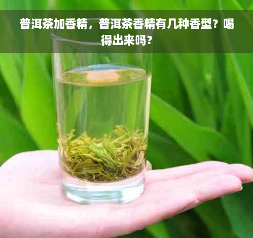 普洱茶加香精，普洱茶香精有几种香型？喝得出来吗？