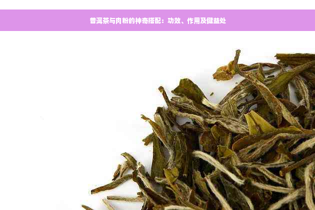 普洱茶与肉粉的神奇搭配：功效、作用及健益处