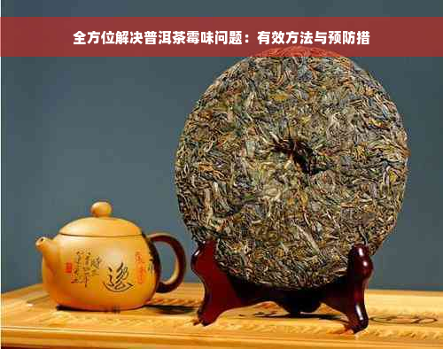 全方位解决普洱茶霉味问题：有效方法与预防措