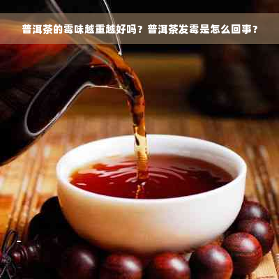 普洱茶的霉味越重越好吗？普洱茶发霉是怎么回事？