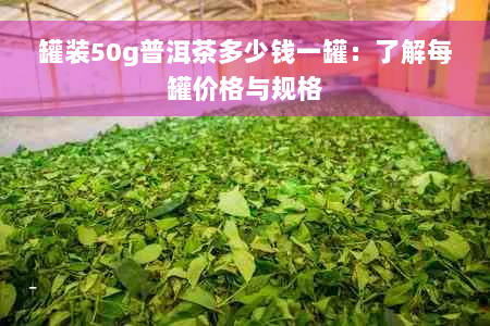 罐装50g普洱茶多少钱一罐：了解每罐价格与规格