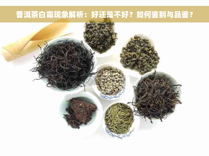 普洱茶白霜现象解析：好还是不好？如何鉴别与品鉴？