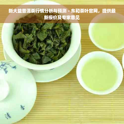 新大益普洱茶行情分析与预测 - 东和茶叶官网，提供最新报价及专家意见