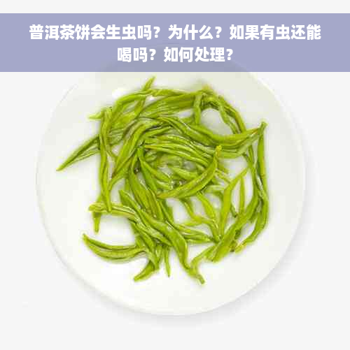 普洱茶饼会生虫吗？为什么？如果有虫还能喝吗？如何处理？